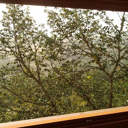 Nuits Perchees A Laroque Bed & Breakfast Saint-Antoine-de-Breuilh ภายนอก รูปภาพ